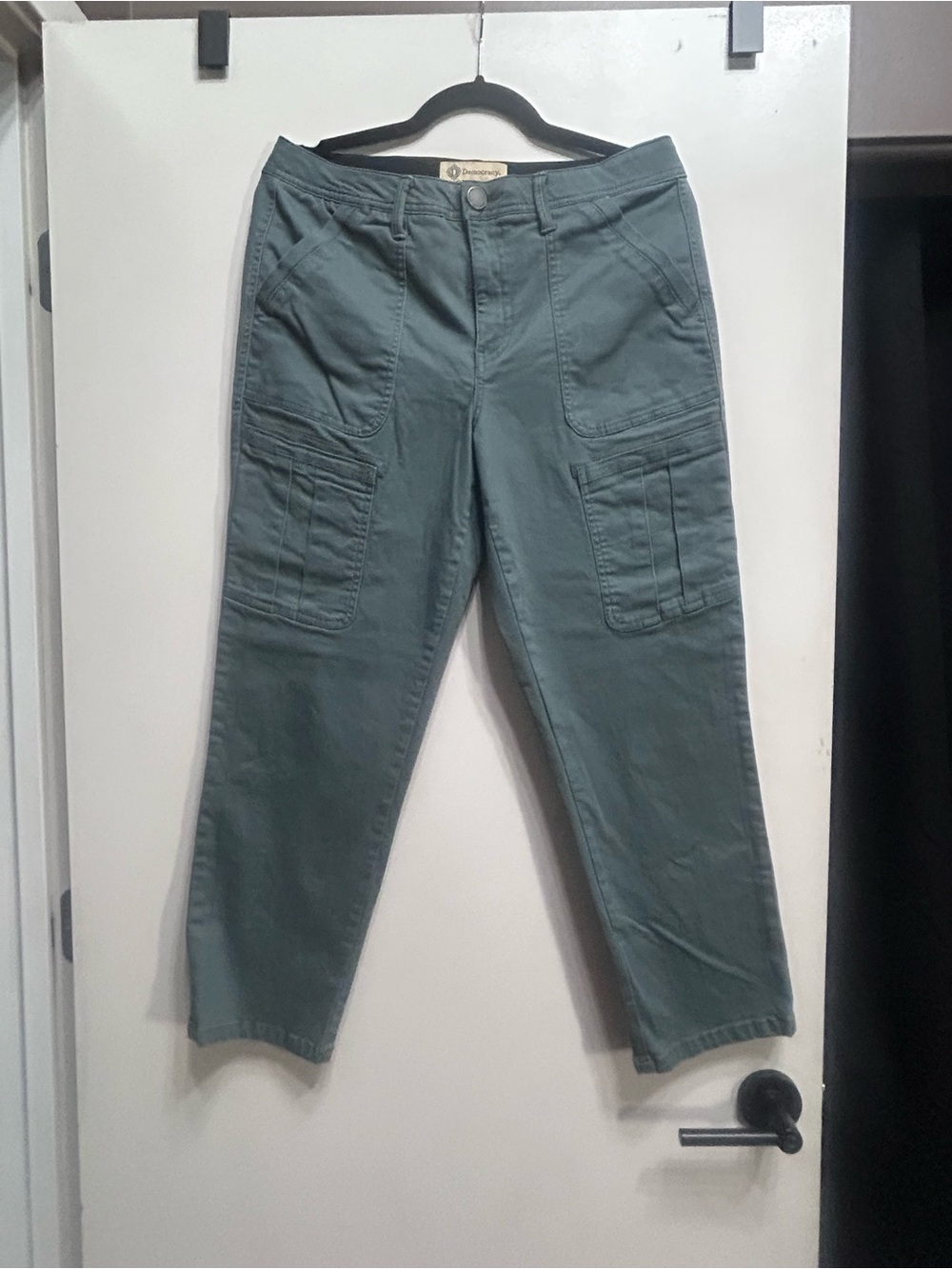 Democracy Cargo Pants in Sage Green